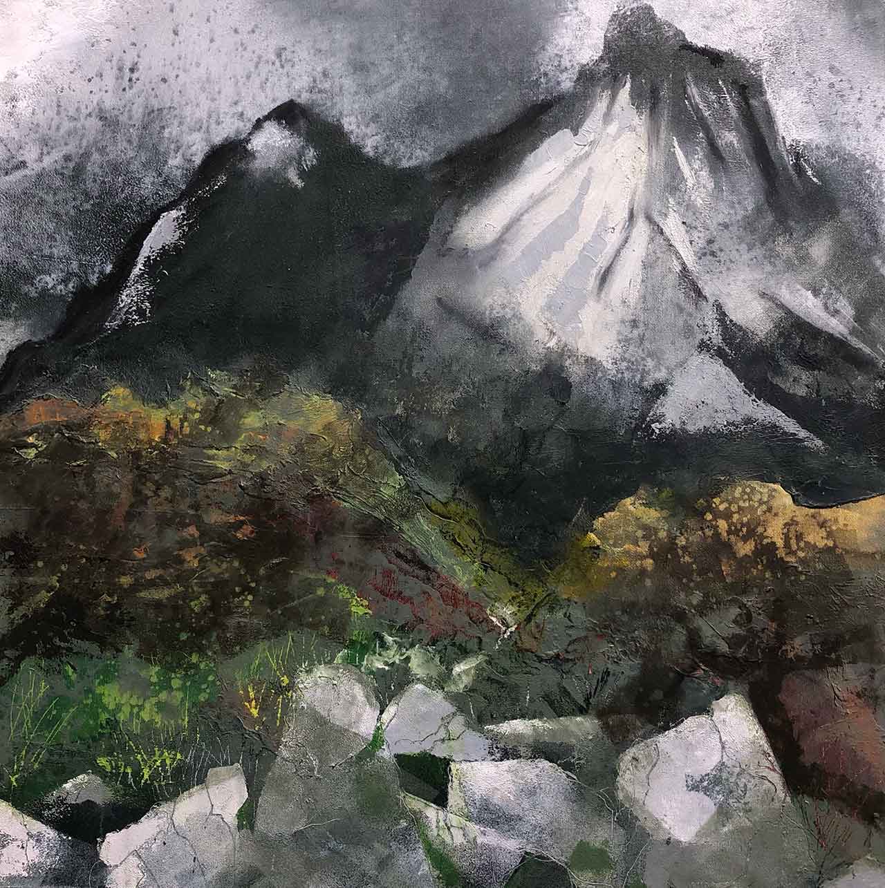 The Black Cuillins